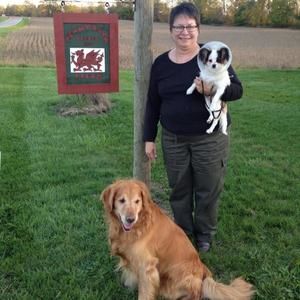 Meet your Posher, Elgarda